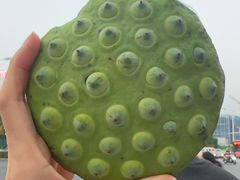 -江大后街