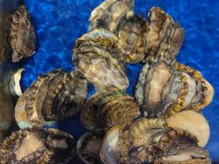 -今鲜源大酒店·中华餐饮名店(新湛路店)