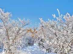 -塞罕坝国家级自然保护区