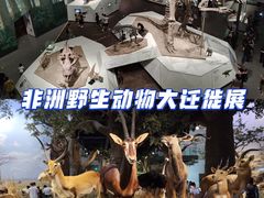 -山东博物馆