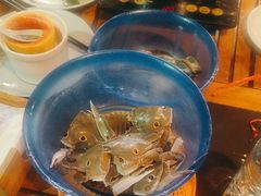 -渔家火锅·海鲜自助餐·演艺(亚龙湾天域酒店)