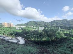 -白石龙音乐公园