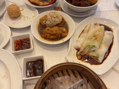 -美心皇宫(屯门大会堂店)