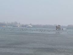 -大兴滨河森林公园