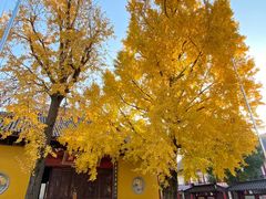 -上海青龙寺
