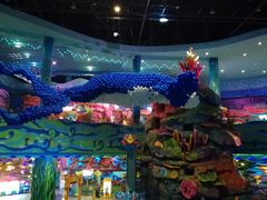 -青岛嘉年华主题乐园