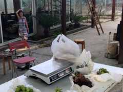 -美家乐农庄·露营·团建(大治路店)
