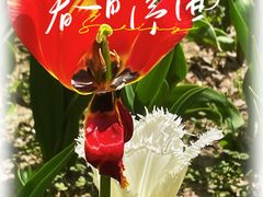 -大宁公园