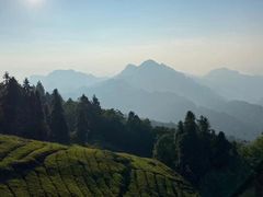 -壶瓶山景区