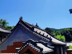 -泰山风景名胜区-普照寺