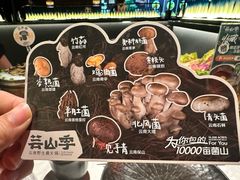 -芸山季·云南山珍菌火锅(人民广场来福士店)