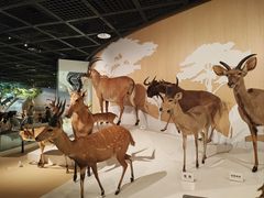 -陕西自然博物馆