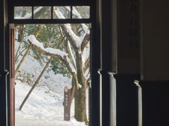 -溪口商量岗景区