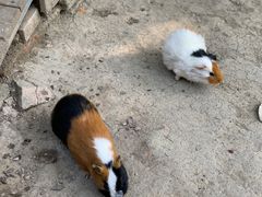 -广东花都香草世界旅游度假区