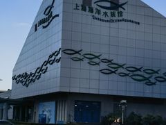 -上海海洋水族馆