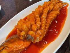 珊瑚鱼-刘胖子家常菜·蹄花焖藕(中南店)