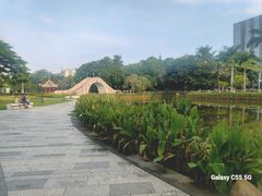 -金砂公园