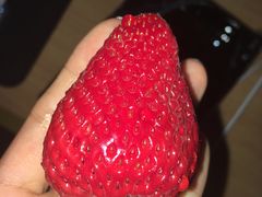 -百果园PAGODA(菊香苑店)