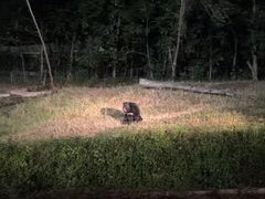 -清迈夜间动物园