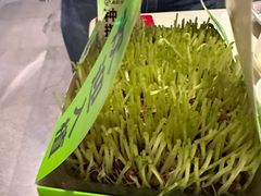 -海底捞火锅(玉桥商业广场店)