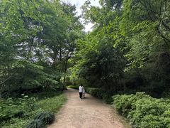 -西湖风景区-江洋畈生态公园