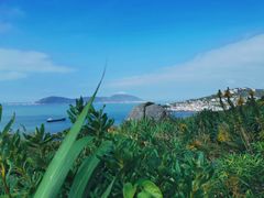 -东极岛景区