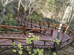 -大岭沟猕猴桃谷风景区