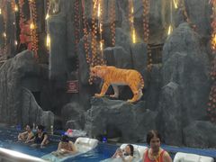 -兴芮温泉度假区