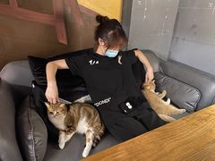 -咖法森林·咖啡  酒吧(天河店)