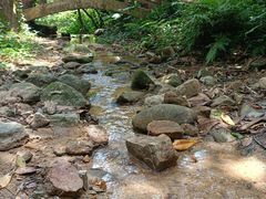 -火炉山森林公园