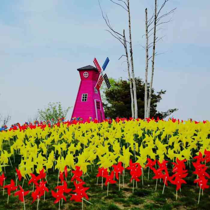北京爱情海玫瑰园-"爱情海里面有个玫瑰餐厅,主接婚宴之类的吧.