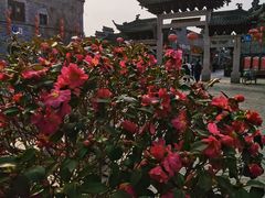 -东关街美食广场