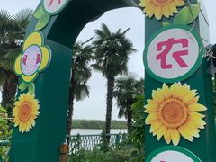 -同里湖度假村(二期店)