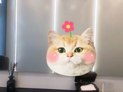 -西安F+造型