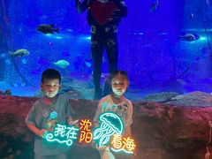 -沈阳海洋探索中心