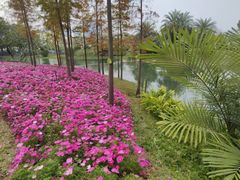 -云溪植物园