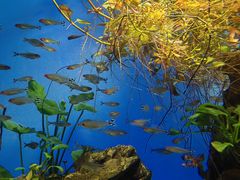 -太平洋海底世界