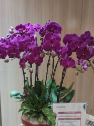 -曼都发型·臻选