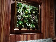 -前海沿·青岛菜(大拇指广场石老人店)