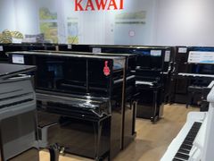 -柏斯音乐艺术中心·钢琴·吉他(世纪金源店)