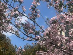 -时间仓(月湖公园店)