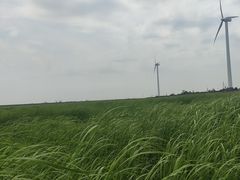 -奉贤海滩