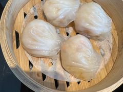 -高第街56号餐厅(美莲广场店)
