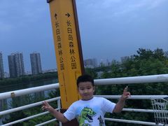 -长白岛森林公园