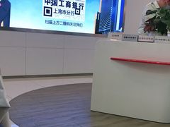 -中国工商银行(上海市桃林路支行)