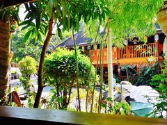 -纳兰傣雀傣味餐厅