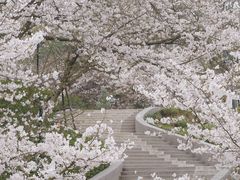 -杭州少年儿童公园