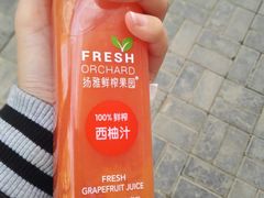 -City1+1城市比萨·意面(桂林路店)