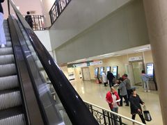 -天津医科大学第二医院