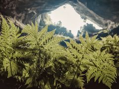 -罗坑大草原